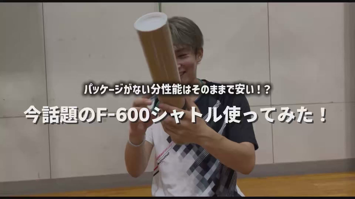 動画を読み込む: 